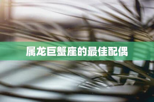 属龙巨蟹座的最佳配偶