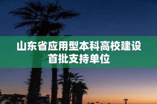 山东省应用型本科高校建设首批支持单位