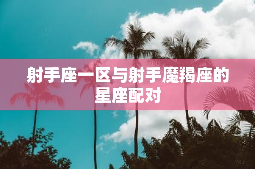 射手座一区与射手魔羯座的星座配对