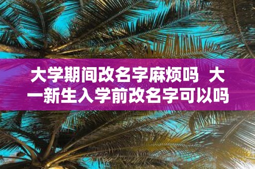 大学期间改名字麻烦吗 大一新生入学前改名字可以吗