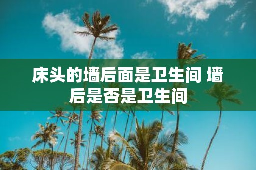 床头的墙后面是卫生间 墙后是否是卫生间