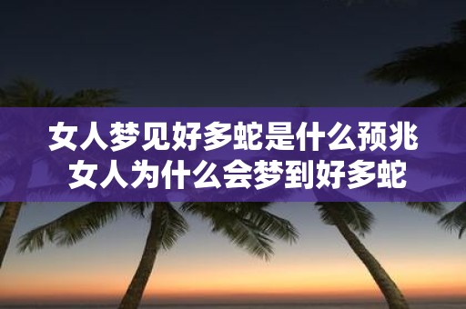女人梦见好多蛇是什么预兆 女人为什么会梦到好多蛇
