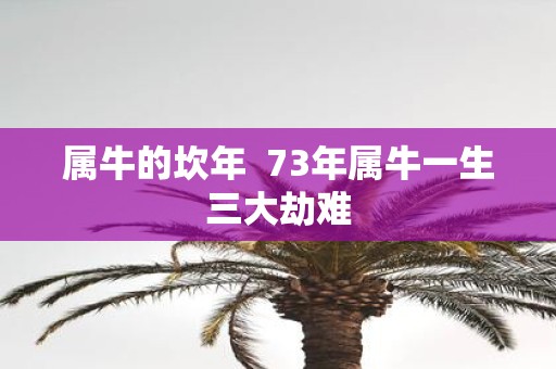 属牛的坎年 73年属牛一生三大劫难