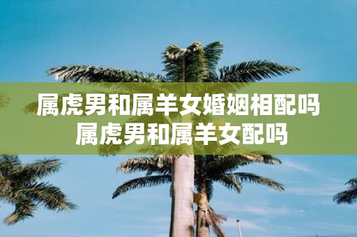 属虎男和属羊女婚姻相配吗 属虎男和属羊女配吗