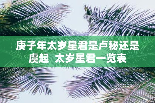 庚子年太岁星君是卢秘还是虞起 太岁星君一览表