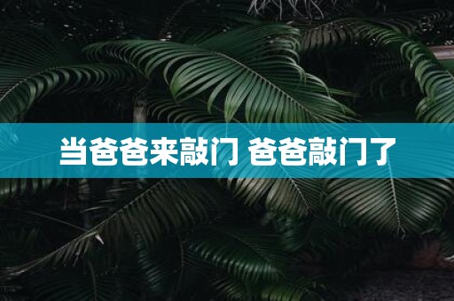 当爸爸来敲门 爸爸敲门了