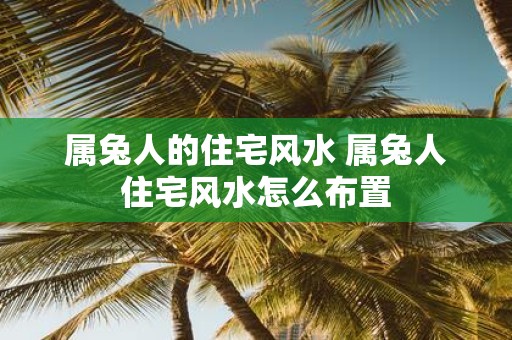 属兔人的住宅风水 属兔人住宅风水怎么布置