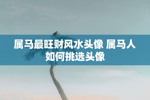 属马最旺财风水头像 属马人如何挑选头像