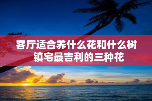 客厅适合养什么花和什么树 镇宅最吉利的三种花