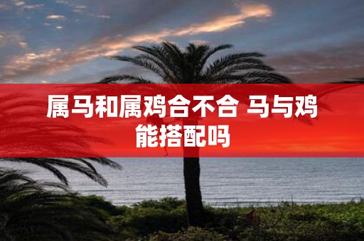 属马和属鸡合不合 马与鸡能搭配吗