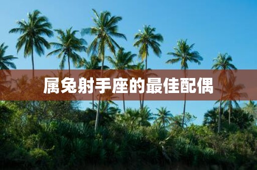 属兔射手座的最佳配偶