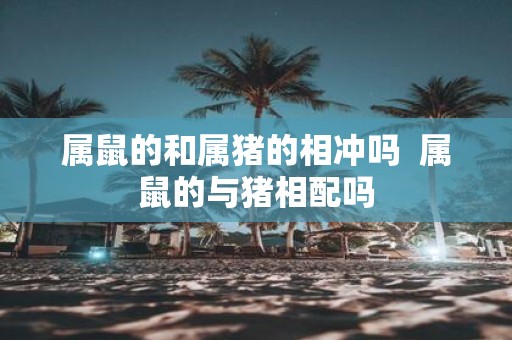 属鼠的和属猪的相冲吗 属鼠的与猪相配吗