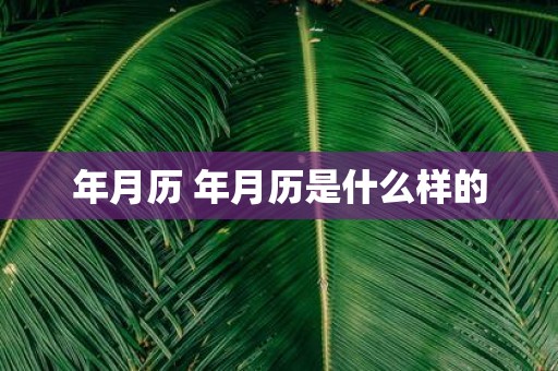 年月历 年月历是什么样的