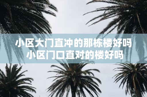 小区大门直冲的那栋楼好吗 小区门口直对的楼好吗