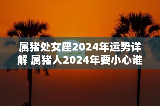属猪处女座2025年运势详解 属猪人2025年要小心谁