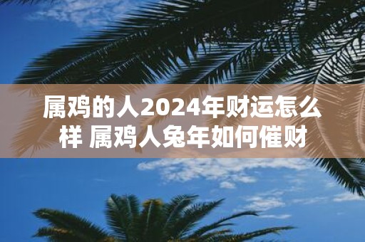 属鸡的人2025年财运怎么样 属鸡人蛇年如何催财