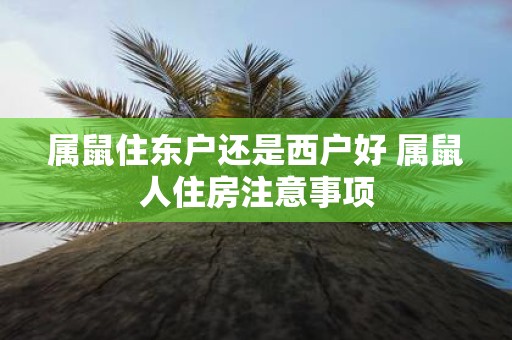 属鼠住东户还是西户好 属鼠人住房注意事项