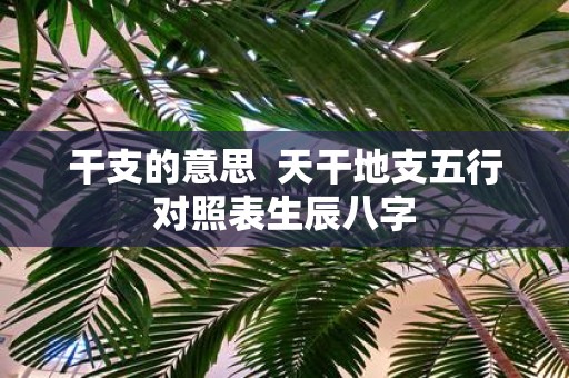 干支的意思 天干地支五行对照表生辰八字