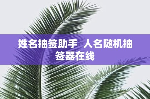 姓名抽签助手 人名随机抽签器在线