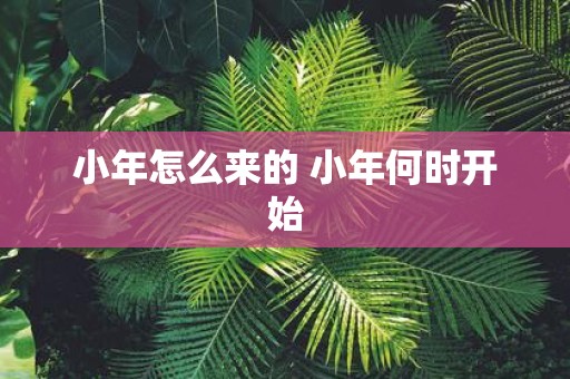 小年怎么来的 小年何时开始