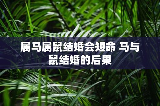 属马属鼠结婚会短命 马与鼠结婚的后果