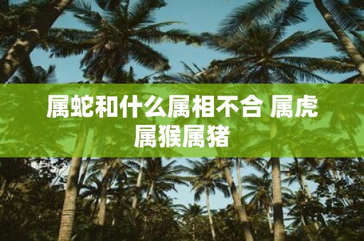 属蛇和什么属相不合 属虎属猴属猪