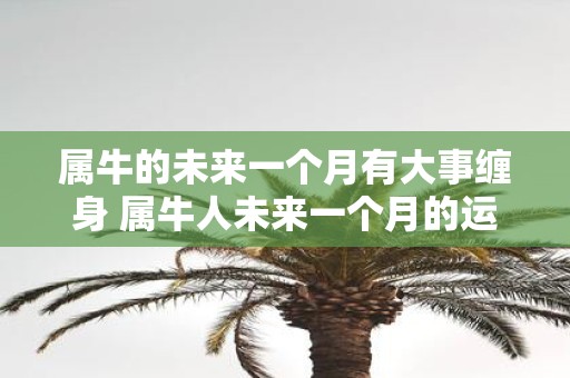 属牛的未来一个月有大事缠身 属牛人未来一个月的运势