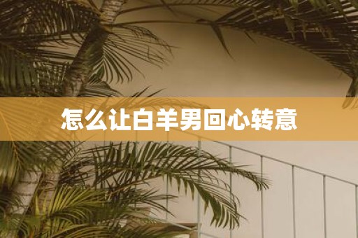 怎么让白羊男回心转意