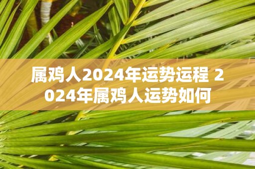 属鸡人2025年运势运程 2025年属鸡人运势如何