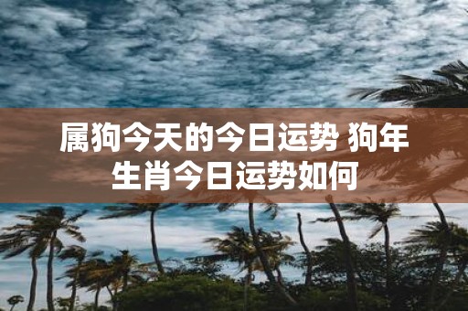 属狗今天的今日运势 狗年生肖今日运势如何