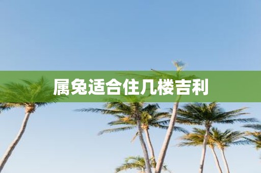 属兔适合住几楼吉利