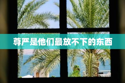 尊严是他们最放不下的东西