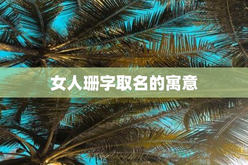女人珊字取名的寓意