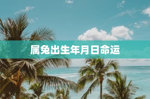 属兔出生年月日命运