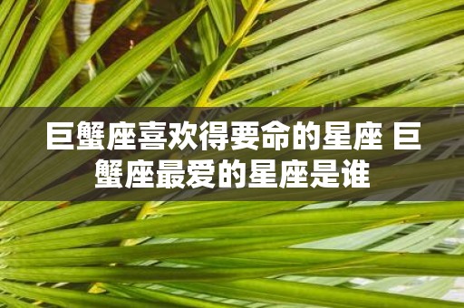 巨蟹座喜欢得要命的星座 巨蟹座最爱的星座是谁