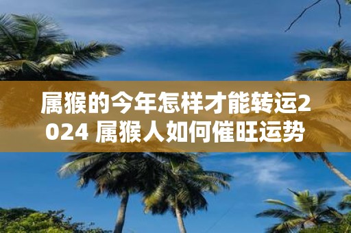 属猴的今年怎样才能转运2025 属猴人如何催旺运势