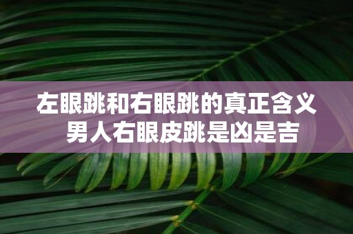 左眼跳和右眼跳的真正含义 男人右眼皮跳是凶是吉