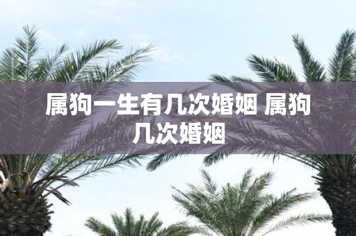 属狗一生有几次婚姻 属狗几次婚姻