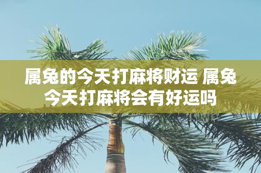 属兔的今天打麻将财运 属兔今天打麻将会有好运吗