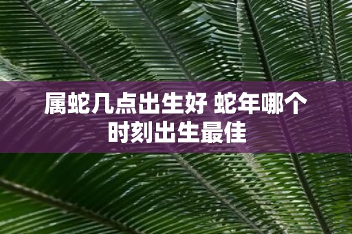 属蛇几点出生好 蛇年哪个时刻出生最佳