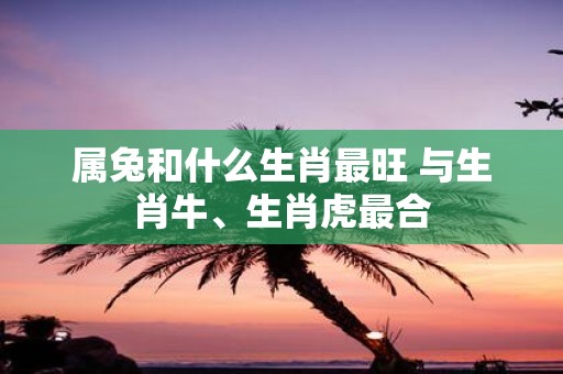 属兔和什么生肖最旺 与生肖牛、生肖虎最合