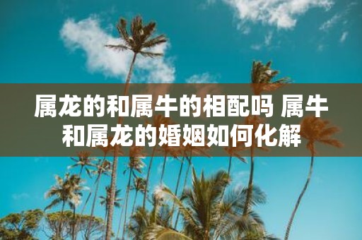 属龙的和属牛的相配吗 属牛和属龙的婚姻如何化解