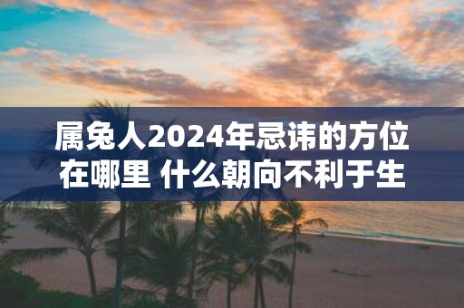 属兔人2025年忌讳的方位在哪里 什么朝向不利于生肖兔