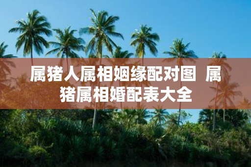 属猪人属相姻缘配对图 属猪属相婚配表大全