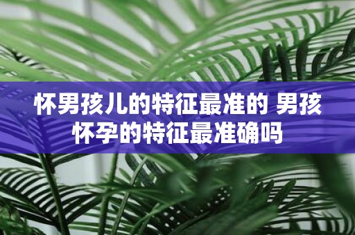 怀男孩儿的特征最准的 男孩怀孕的特征最准确吗