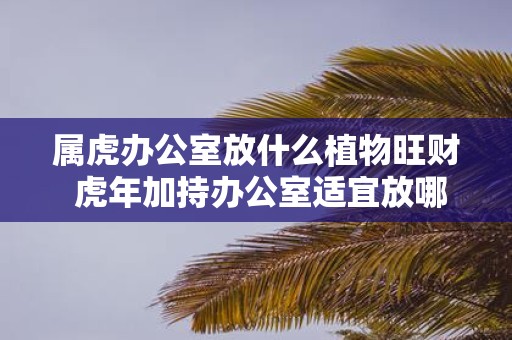 属虎办公室放什么植物旺财 虎年加持办公室适宜放哪些植物