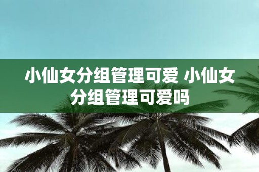 小仙女分组管理可爱 小仙女分组管理可爱吗