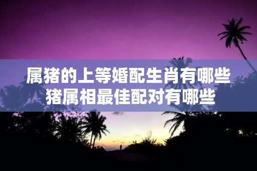 属猪的上等婚配生肖有哪些 猪属相最佳配对有哪些