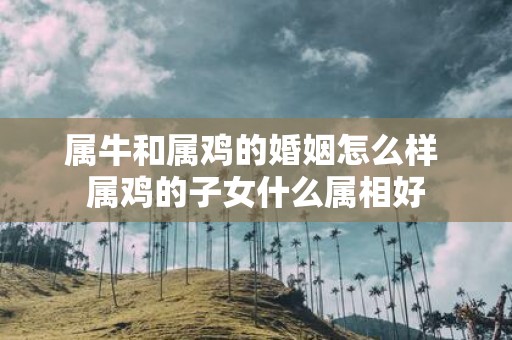 属牛和属鸡的婚姻怎么样 属鸡的子女什么属相好