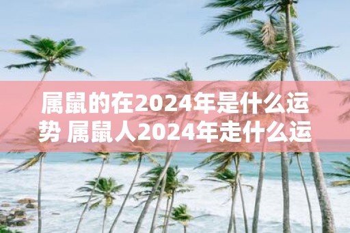 属鼠的在2025年是什么运势 属鼠人2025年走什么运